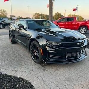 Meet your Posher, Ricky